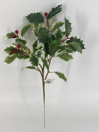 Holly Pick Green/Cream 10"
