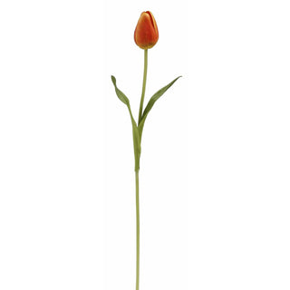 Pointed Tulip Stem Orange 15.5''