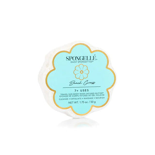 Daisy Collection Spongette Beach Grass 1.75Oz