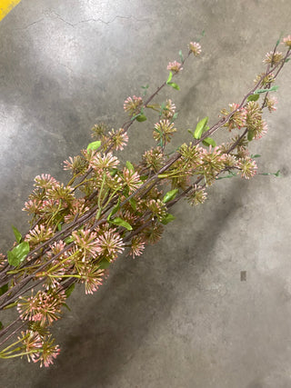 Eucalyptus Seed Bush Light Pink 36"