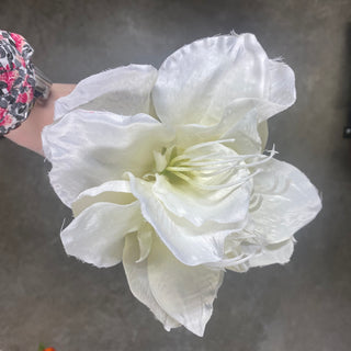 Amaryllis Spray Cream