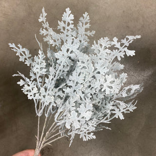 Dusty Miller Bush Grey 16"