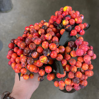 Cluster Berry Bundle Red-Orange 10.5"