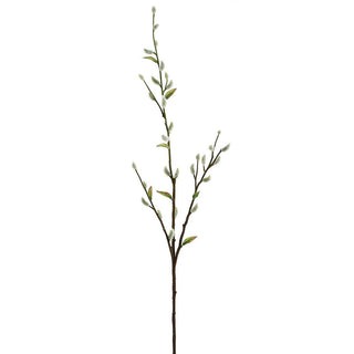 Pussy Willow Stem x32 Grey 36"