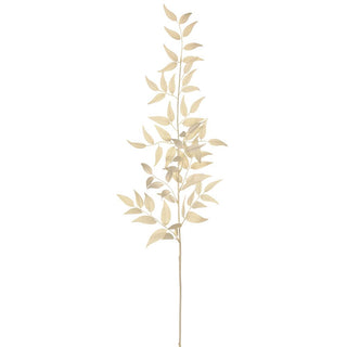 Italian Ruscus Leaf Spray Cream 36"