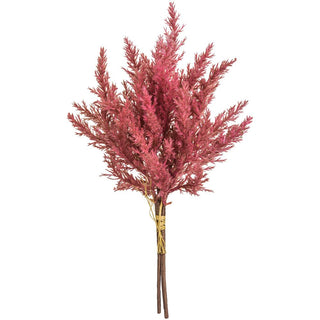 Pampas Grass Bundle Rose 14"