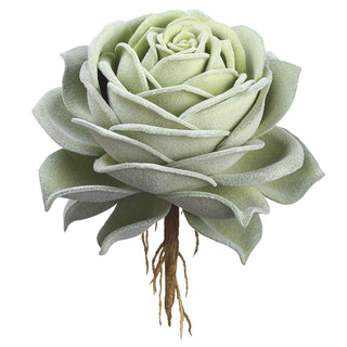 Rose Echeveria Pick Green 6.3"