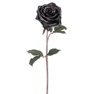 Black Magic Rose Stem Black 21.5"
