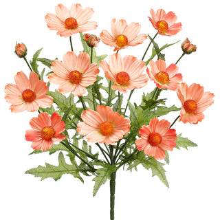 Cosmos Bush Coral 18"
