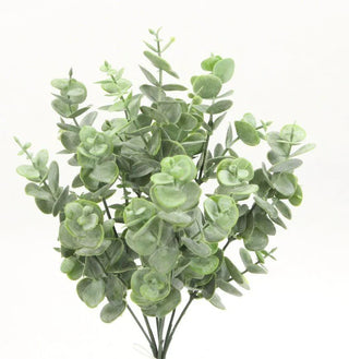 Eucalyptus