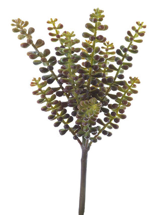 Sedum Pick Yellow-Brown 10.5"