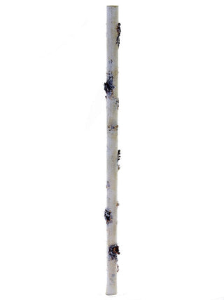 Birch Stick White 22.5"