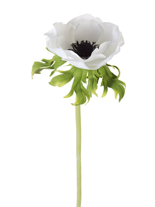 Poppy Anemone Stem White 22"