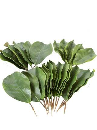 Magnolia Leaves (x30) Green 8"