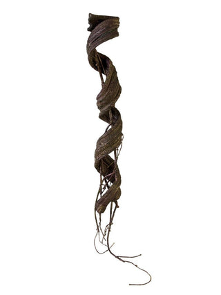 Seasoned Vine Brown 32"