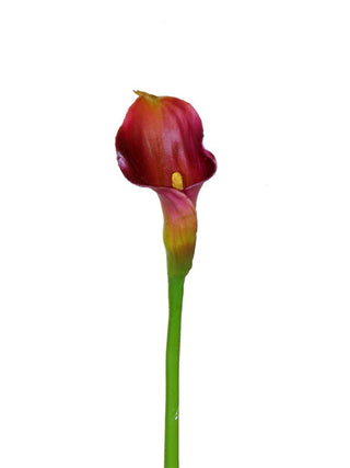 Calla Lily Spray Burgundy 18"