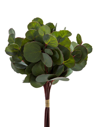 Silver Dollar Eucalyptus Bundle (x12) 17"
