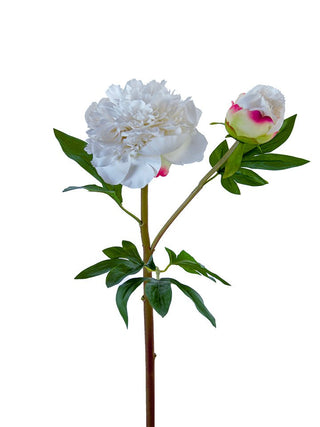 Ruffled Peony White 26"