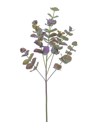 Spiral Eucalyptus Spray Burgundy-Green 27"