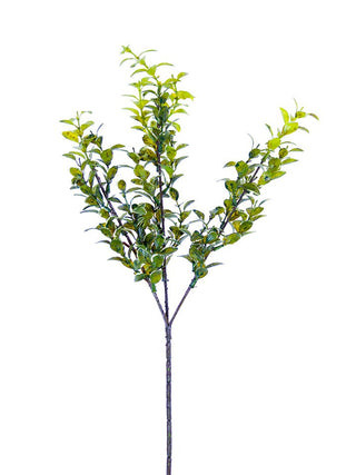 Myrtle Spray Green-Yellow 27"
