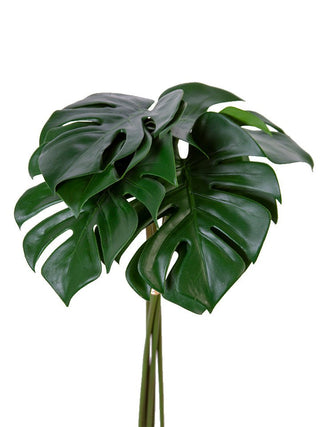 Monstera Leaf Bundle Dark Green 20.5"