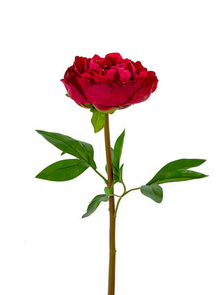 Peony Stem Burgundy 26"