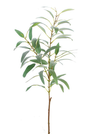 Eucalyptus Spray Light Green "
