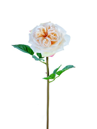 Real Touch Garden Rose Stem Light Coral 24"