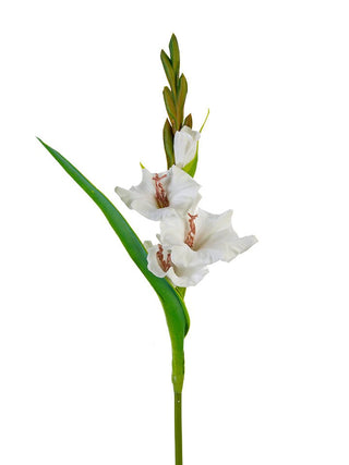 Gladiolus Spray White 22"