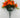 Carnation Bush Orange 18”