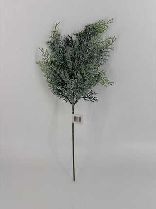 Cedar Spray Iced 15.5"