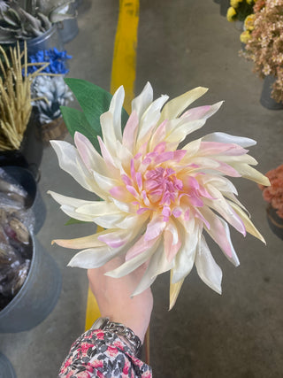 Dahlia Stem Cream/Pink 27.5"