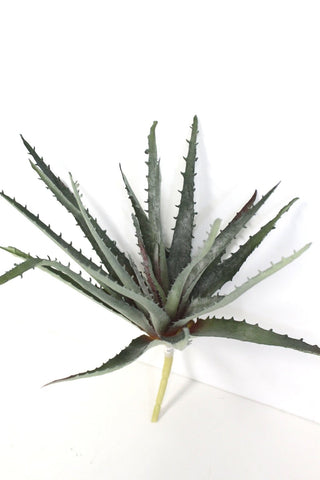 Succulent Pick 10"