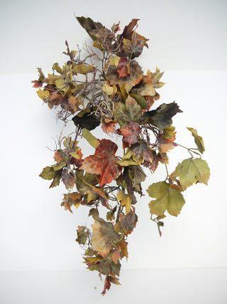 Boston Ivy Hanging Bush