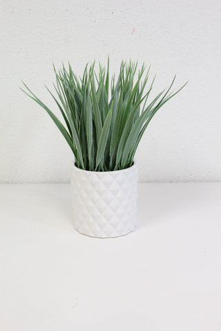 Grass w/ Pot 9.5"