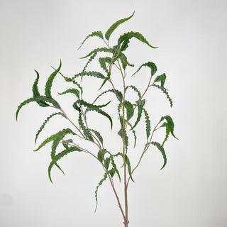 Soft Touch Curly Eucalyptus Spray 43"