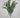 Myrtle Leaf Bush 19" Grey-Green