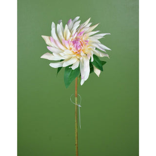 Dahlia Stem Cream/Pink 27.5"