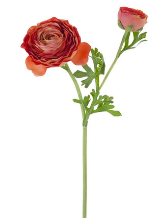 Fresh Touch Asiatic Ranunculus Stem Orange 23 "