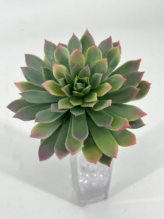 Succulent Pick 8" Green/Red