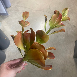 Coastal Succulent Pick Coral/Green 15"
