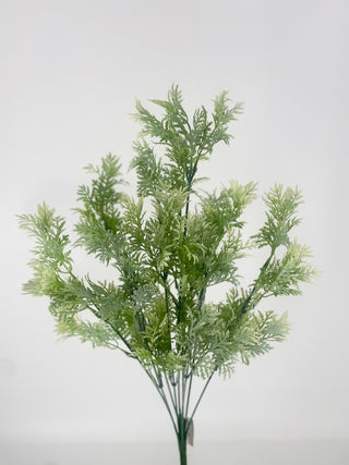Leaves Bush Cream