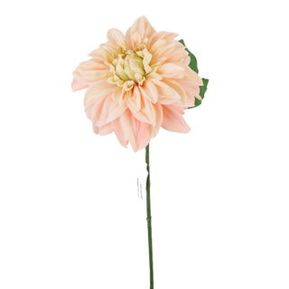 Dahlia Short Stem Pink 13"