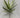 Foam Agave Plant Spray 30"