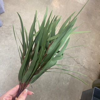 Eucalyptus Bundle Green