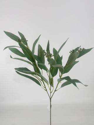 Long Eucalyptus Spray Green