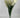 Satin Hyacinth Bush Cream 21"