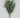 Myrtle Leaf Bush 19" Grey-Green
