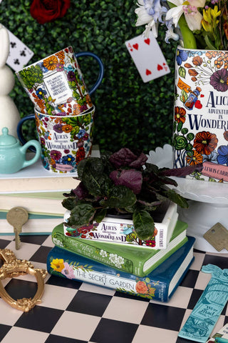 Alice/Wind in the Willows/The Secret Stacked Books Planter