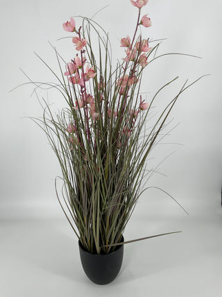 Wild Flower Onion Grass in Pot 24"